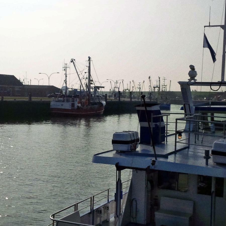 Haus Tertius - Strand- Und Hafennahe Ruhige Ferienwohnung Büsum Esterno foto