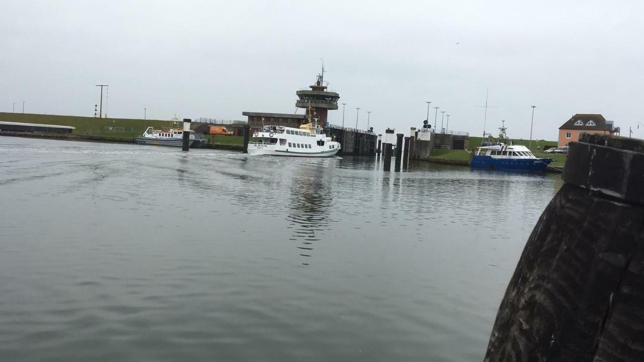 Haus Tertius - Strand- Und Hafennahe Ruhige Ferienwohnung Büsum Esterno foto